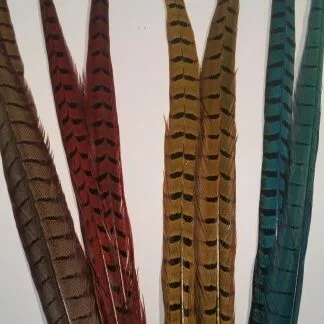 Chevron Cock Pheasant Tail Feather - Funky Fly Tying 4 Chevron Cock Pheasant Tail Feather - Funky Fly Tying - Image 2