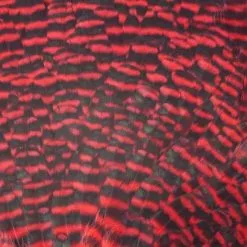 Chevron Grade 1 Complete Hen Saddle - Funky Fly Tying -Eyes & Dumbbells Sales Store Chevron Grade 1 Complete Hen Saddle 1 1