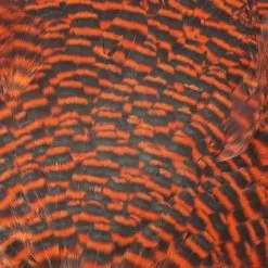 Chevron Grade 1 Complete Hen Saddle - Funky Fly Tying -Eyes & Dumbbells Sales Store Chevron Grade 1 Complete Hen Saddle Dyed Grizzly Hot Orange