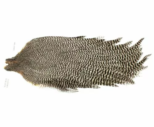 Chevron Grade 2 Rooster Neck Cape - Funky Fly Tying 8 Chevron Grade 2 Rooster Neck Cape - Funky Fly Tying - Image 6