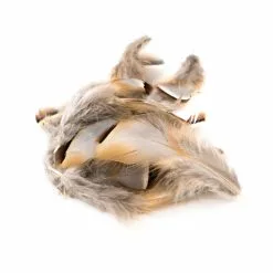 Chevron French Partridge Flank Loose Feathers - Funky Fly Tying
