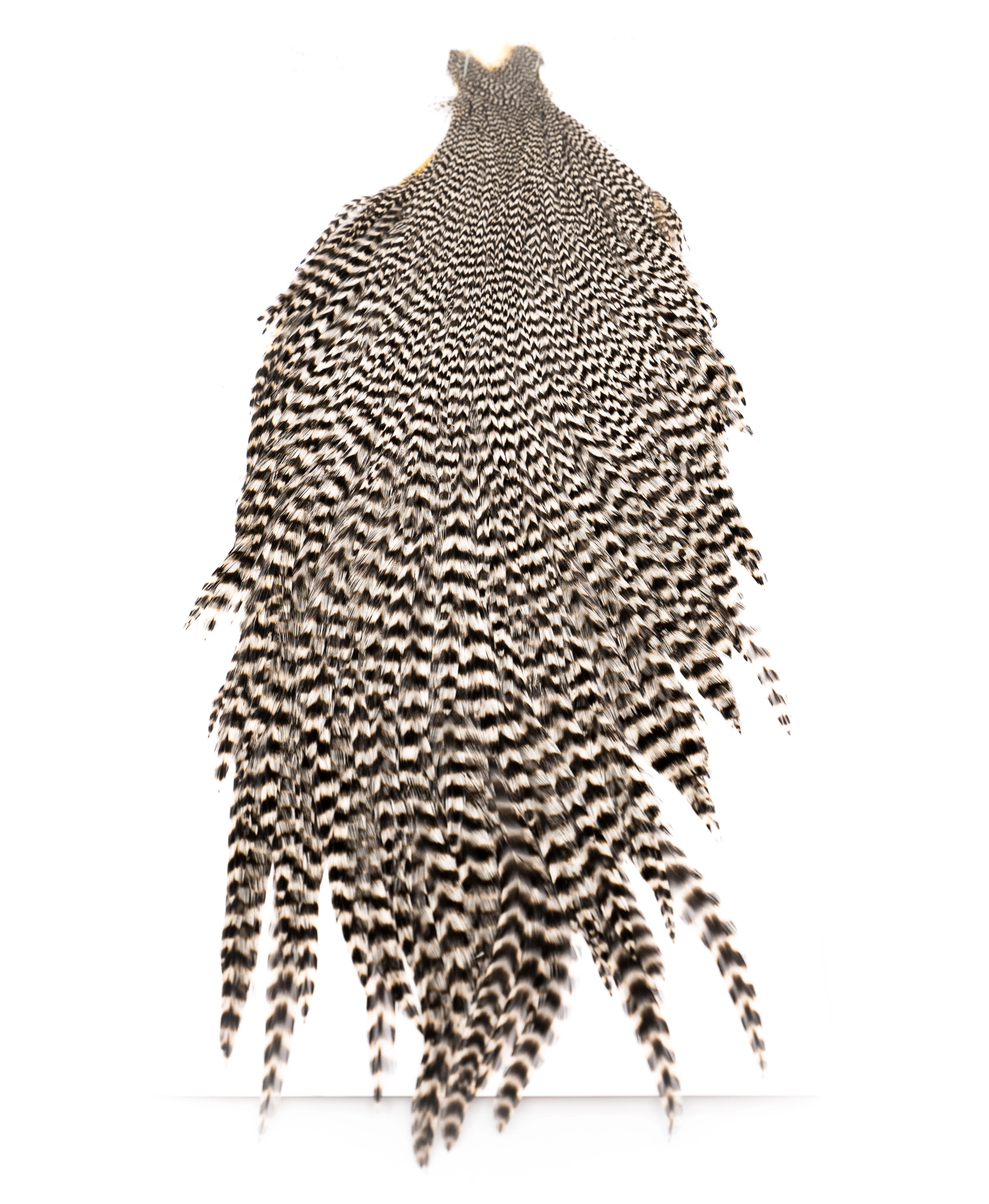 Chevron Grade 2 Rooster Neck Cape - Funky Fly Tying 4 Chevron Grade 2 Rooster Neck Cape - Funky Fly Tying - Image 2