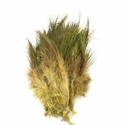 Fish Hunter Strung Ringneck Pheasant Rump Hackle - Funky Fly Tying 31 Fish Hunter Strung Ringneck Pheasant Rump Hackle - Funky Fly Tying -Eyes & Dumbbells Sales Store Fish Hunter Ringneck Pheasant Rump Hackle Dark Olive 1
