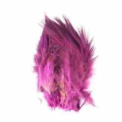 Fish Hunter Strung Ringneck Pheasant Rump Hackle - Funky Fly Tying 45 Fish Hunter Strung Ringneck Pheasant Rump Hackle - Funky Fly Tying -Eyes & Dumbbells Sales Store Fish Hunter Ringneck Pheasant Rump Hackle FL Hot Pink UV 1