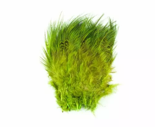 Fish Hunter Strung Ringneck Pheasant Rump Hackle - Funky Fly Tying 6 Fish Hunter Strung Ringneck Pheasant Rump Hackle - Funky Fly Tying - Image 4