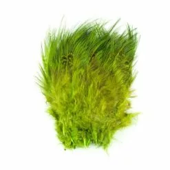 Fish Hunter Strung Ringneck Pheasant Rump Hackle - Funky Fly Tying 26 Fish Hunter Strung Ringneck Pheasant Rump Hackle - Funky Fly Tying -Eyes & Dumbbells Sales Store Fish Hunter Ringneck Pheasant Rump Hackle Fl Chartreuse
