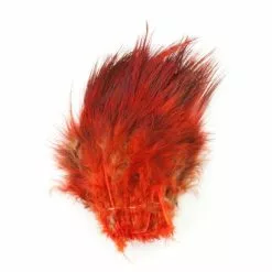 Fish Hunter Strung Ringneck Pheasant Rump Hackle - Funky Fly Tying 39 Fish Hunter Strung Ringneck Pheasant Rump Hackle - Funky Fly Tying -Eyes & Dumbbells Sales Store Fish Hunter Ringneck Pheasant Rump Hackle Hot Orange 1