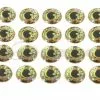 Funky Flounder Ultra Realistic 3D Eyes - Funky Fly Tying -Eyes & Dumbbells Sales Store Flounder Ultra Realistic 3D Eyes