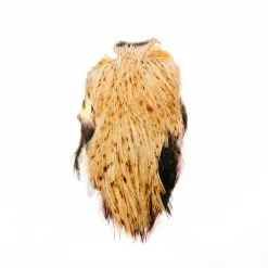 Funky Cock Capes - Funky Fly Tying -Eyes & Dumbbells Sales Store Funky Cock Cape Cream Brown 20 1 scaled 2