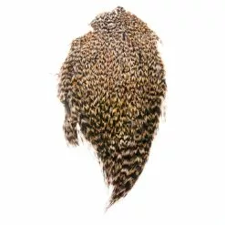 Funky Cock Capes - Funky Fly Tying -Eyes & Dumbbells Sales Store Funky Cock Cape Dark Cree 3831 1 scaled 1