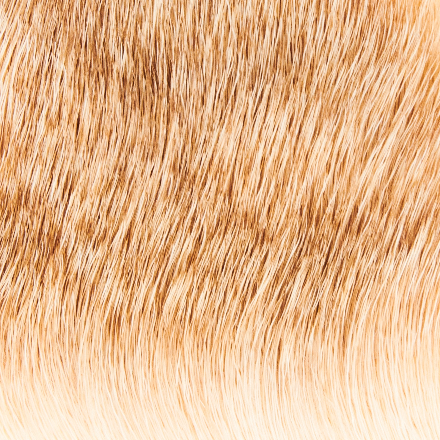 Funky Deer Hair - Funky Fly Tying 36 Funky Deer Hair - Funky Fly Tying - Image 34