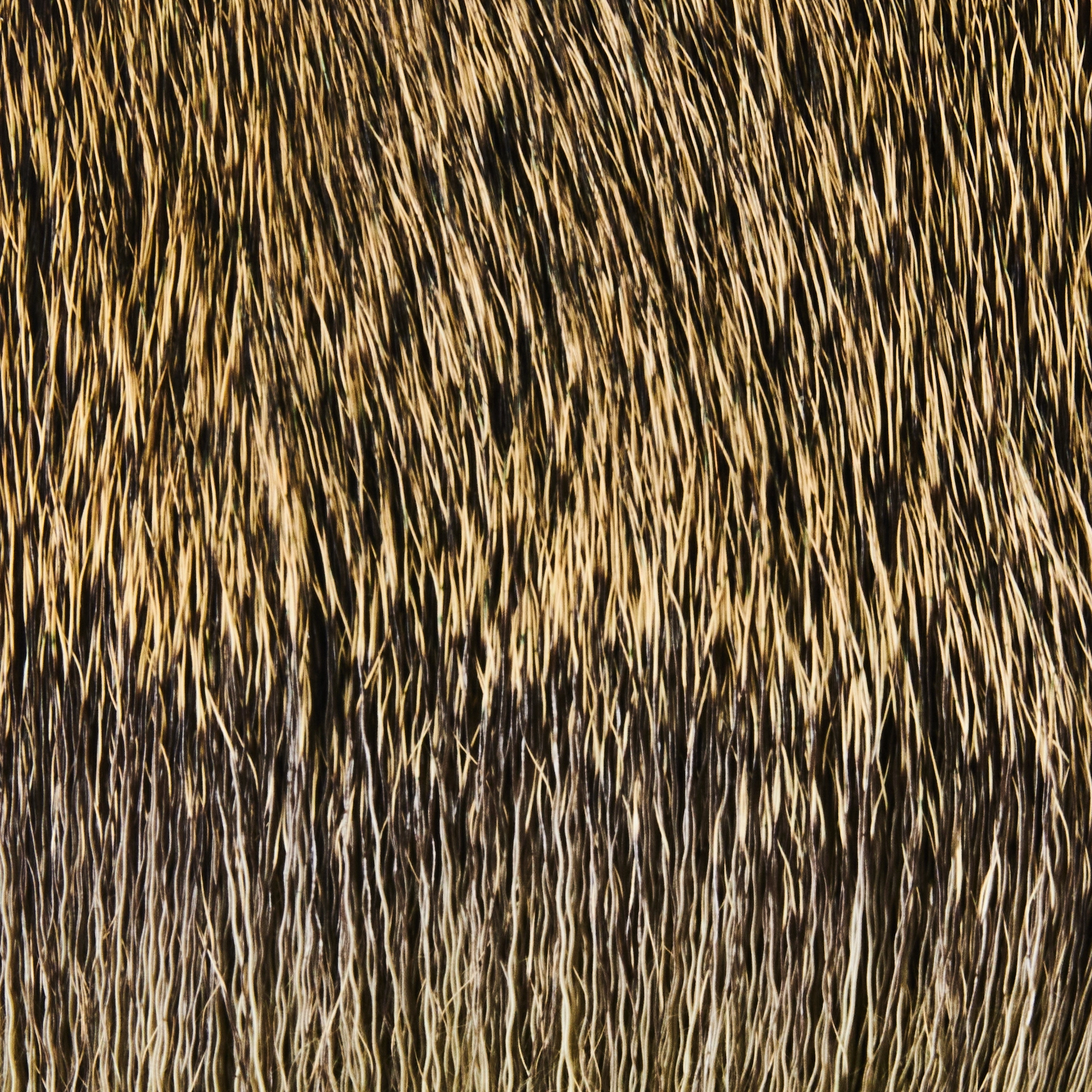 Funky Deer Hair - Funky Fly Tying 18 Funky Deer Hair - Funky Fly Tying - Image 16