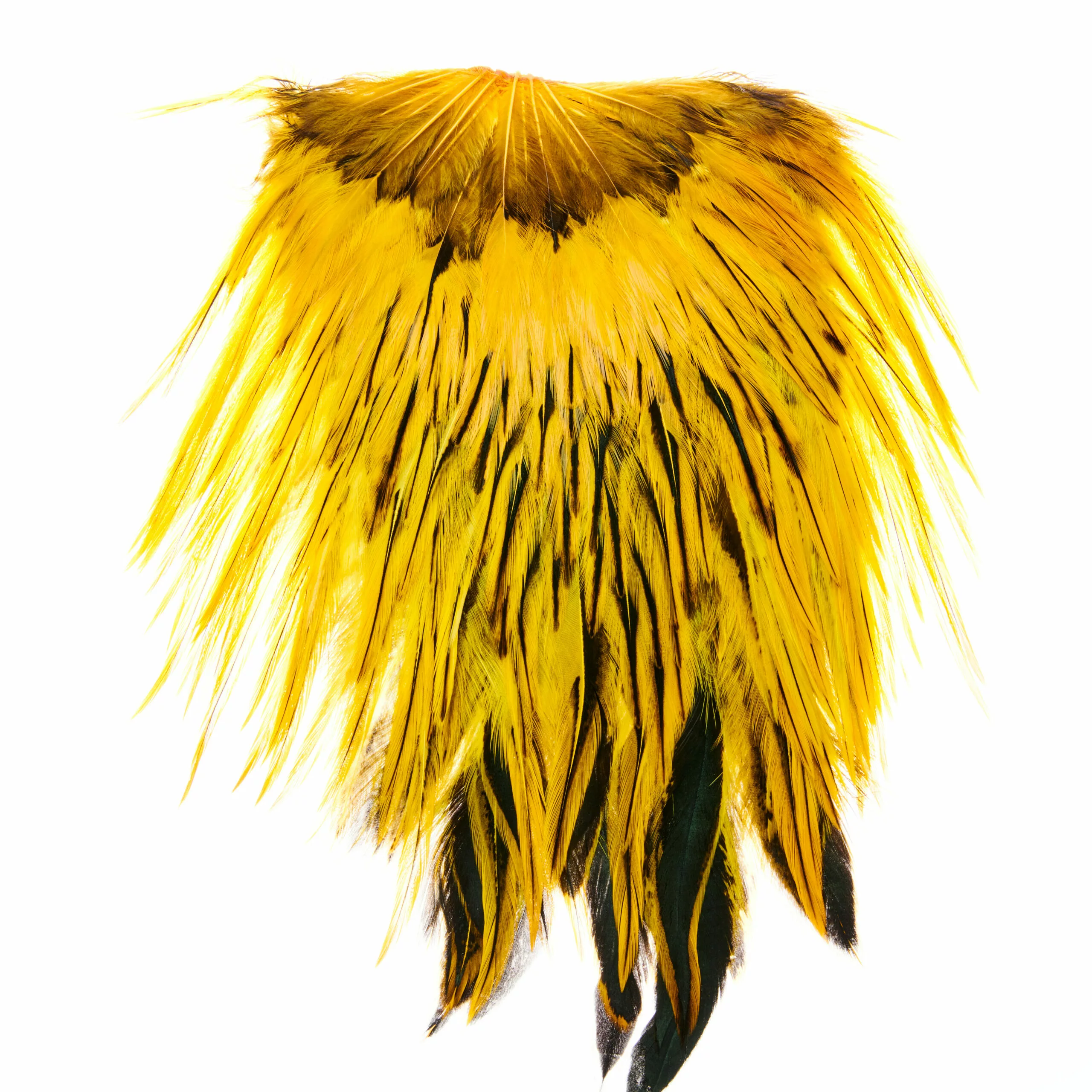 Funky Dyed Badger Saddle - Funky Fly Tying 3 Funky Dyed Badger Saddle - Funky Fly Tying