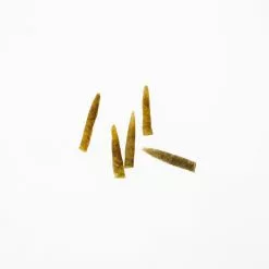 Funky Extended Caddis Fly Bodies (Medium) - Funky Fly Tying -Eyes & Dumbbells Sales Store Funky Extended Bodies Caddis Medium Olive 237 scaled 3