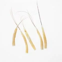 Funk Extended Mayfly Bodies (Large) - Funky Fly Tying -Eyes & Dumbbells Sales Store Funky Extended Bodies Mayfly Large Cream Danica 241 scaled 2