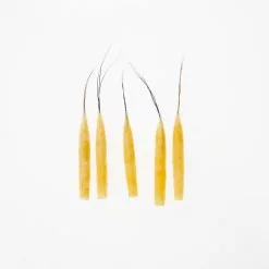 Funk Extended Mayfly Bodies (Large) - Funky Fly Tying -Eyes & Dumbbells Sales Store Funky Extended Bodies Mayfly Large Yellow Danica 242 scaled 2