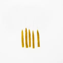 Funky Extended Mayfly Bodies (Medium) - Funky Fly Tying -Eyes & Dumbbells Sales Store Funky Extended Bodies Mayfly Medium Olive 249 1 scaled 1