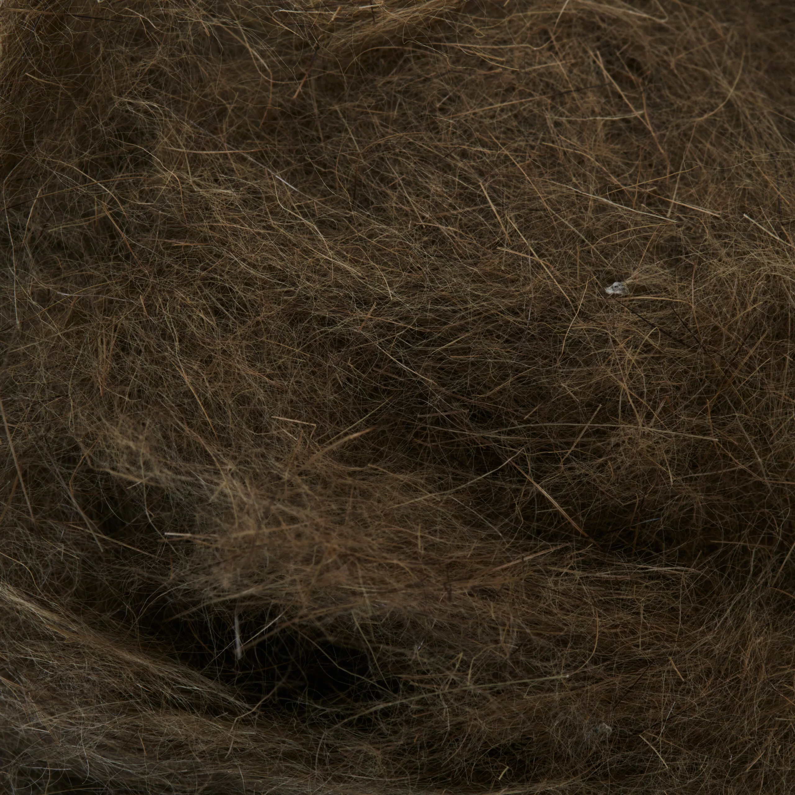 Funky Hare's Ear Dubbing - Funky Fly Tying 11 Funky Hare's Ear Dubbing - Funky Fly Tying - Image 9