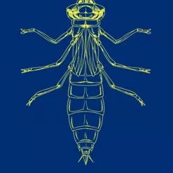 Gulff UV Curable Varnish - Funky Fly Tying