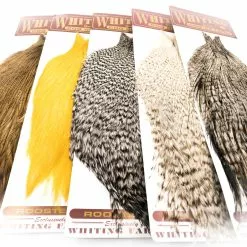 Whiting Coq De Leon Rooster Cape - Funky Fly Tying -Eyes & Dumbbells Sales Store Group 1 1