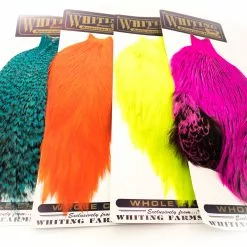 Whiting American Rooster Capes - Funky Fly Tying