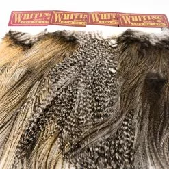 Whiting Coq De Leon Bronze Rooster Saddle - Funky Fly Tying