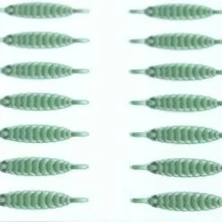 Hemingways Hemingway's Gammarus Backs - Funky Fly Tying -Eyes & Dumbbells Sales Store Hemingways Gammarus Backs Green 1