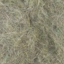 Hemingways Hemingway's Hare's Dubbing Packets - Funky Fly Tying 79 Hemingways Hemingway's Hare's Dubbing Packets - Funky Fly Tying -Eyes & Dumbbells Sales Store Hemingways Hares Dubbing Packets Brown Olive 1