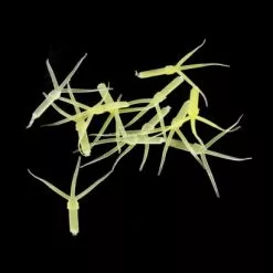 Hemingways Hemingway's Mayfly Nymph Rubber Tails - Funky Fly Tying -Eyes & Dumbbells Sales Store Hemingways Mayfly Nymph Rubber Tails 6 1