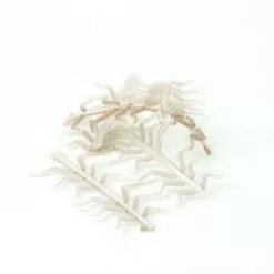 Hemingways Hemingway's Stonefly Nymph Rubber Legs - Funky Fly Tying -Eyes & Dumbbells Sales Store Hemingways Stonefly Nymph Rubber Legs 1