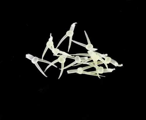 Hemingways Hemingway's Stonefly Nymph Tails - Funky Fly Tying 6 Hemingways Hemingway's Stonefly Nymph Tails - Funky Fly Tying - Image 4