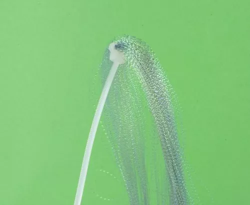 Hends Krystal Flash Micro - Funky Fly Tying 33 Hends Krystal Flash Micro - Funky Fly Tying - Image 31