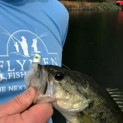 Fish Skull Flymen Surface Suducer Howitzer Baitfish Poper Head - Funky Fly Tying 38 Fish Skull Flymen Surface Suducer Howitzer Baitfish Poper Head - Funky Fly Tying -Eyes & Dumbbells Sales Store Martin catch bass Howitzer 2