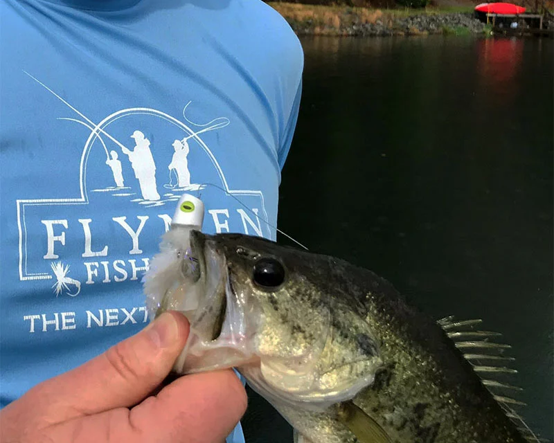 Fish Skull Flymen Surface Suducer Howitzer Baitfish Poper Head - Funky Fly Tying 13 Fish Skull Flymen Surface Suducer Howitzer Baitfish Poper Head - Funky Fly Tying - Image 11