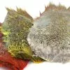 Nature's Spirit Fish Hunter Ringneck Pheasant Rump Patch - Funky Fly Tying -Eyes & Dumbbells Sales Store Natures Spirit Ringneck Pheasant Rump Patch