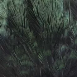 Nature's Spirit Fish Hunter Ringneck Pheasant Rump Patch - Funky Fly Tying -Eyes & Dumbbells Sales Store Natures Spirit Ringneck Pheasant Rump Patch Black 1