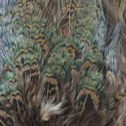 Nature's Spirit Fish Hunter Ringneck Pheasant Rump Patch - Funky Fly Tying -Eyes & Dumbbells Sales Store Natures Spirit Ringneck Pheasant Rump Patch Brown 1