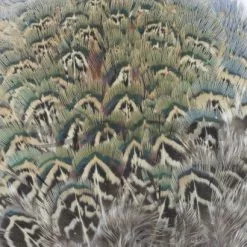 Nature's Spirit Fish Hunter Ringneck Pheasant Rump Patch - Funky Fly Tying -Eyes & Dumbbells Sales Store Natures Spirit Ringneck Pheasant Rump Patch Natural