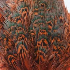 Nature's Spirit Fish Hunter Ringneck Pheasant Rump Patch - Funky Fly Tying -Eyes & Dumbbells Sales Store Natures Spirit Ringneck Pheasant Rump Patch Orange 1