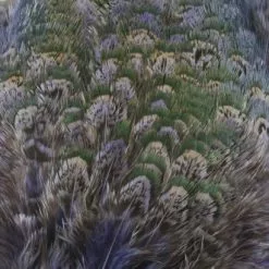 Nature's Spirit Fish Hunter Ringneck Pheasant Rump Patch - Funky Fly Tying -Eyes & Dumbbells Sales Store Natures Spirit Ringneck Pheasant Rump Patch Purple