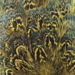 Nature's Spirit Fish Hunter Ringneck Pheasant Rump Patch - Funky Fly Tying -Eyes & Dumbbells Sales Store Natures Spirit Ringneck Pheasant Rump Patch Yellow