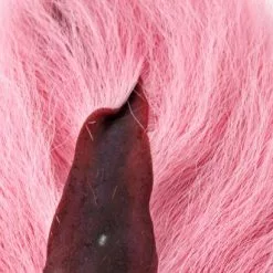 Nature's Spirit Select Bucktails - Funky Fly Tying -Eyes & Dumbbells Sales Store Natures Spirit Select Bucktails Bubblegum Pink 1