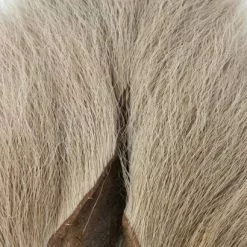 Nature's Spirit Select Bucktails - Funky Fly Tying -Eyes & Dumbbells Sales Store Natures Spirit Select Bucktails tan