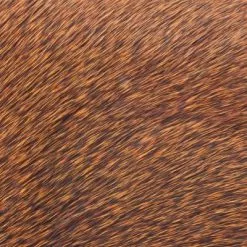 Polish Quills Winter Roe Deer - Funky Fly Tying -Eyes & Dumbbells Sales Store Polish Quills Winter Roe Deer Orange