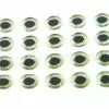 Funky Realistic Pelagic Tape Eyes - Funky Fly Tying 1 Funky Realistic Pelagic Tape Eyes - Funky Fly Tying -Eyes & Dumbbells Sales Store Realistic Pelagic Tape Eyes