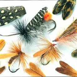 Veniard Natural Feather Caddis Wings - Funky Fly Tying -Eyes & Dumbbells Sales Store Veniard Natural Feather Caddis Wings 1 1
