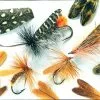 Veniard Natural Feather Caddis Wings - Funky Fly Tying -Eyes & Dumbbells Sales Store Veniard Natural Feather Caddis Wings 1
