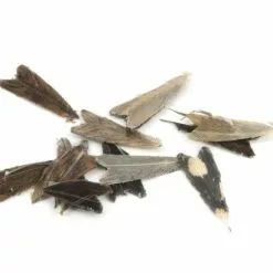 Veniard Natural Feather Caddis Wings - Funky Fly Tying -Eyes & Dumbbells Sales Store Veniard Natural Feather Caddis Wings 2