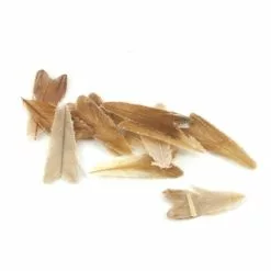 Veniard Natural Feather Caddis Wings - Funky Fly Tying -Eyes & Dumbbells Sales Store Veniard Natural Feather Caddis Wings 3