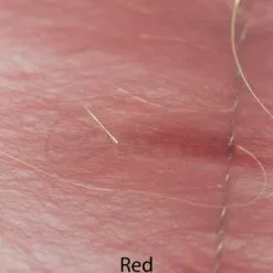 Veniard Pike Brushes - Funky Fly Tying -Eyes & Dumbbells Sales Store Veniard Pike Brushes Red 1